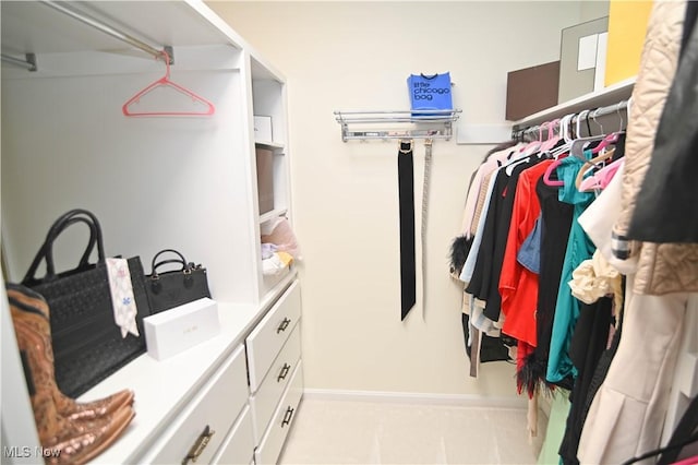 view of spacious closet