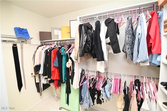 view of spacious closet