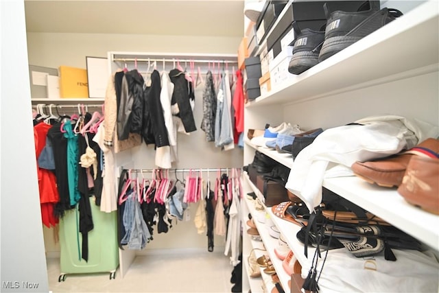 view of spacious closet