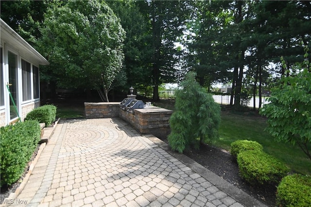 view of home's community featuring a patio area and area for grilling