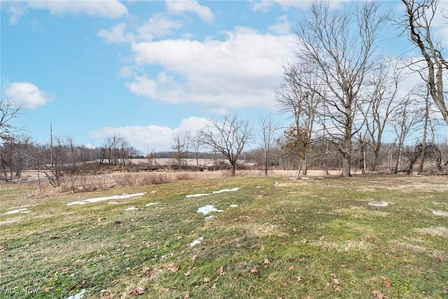 view of yard featuring a rural view