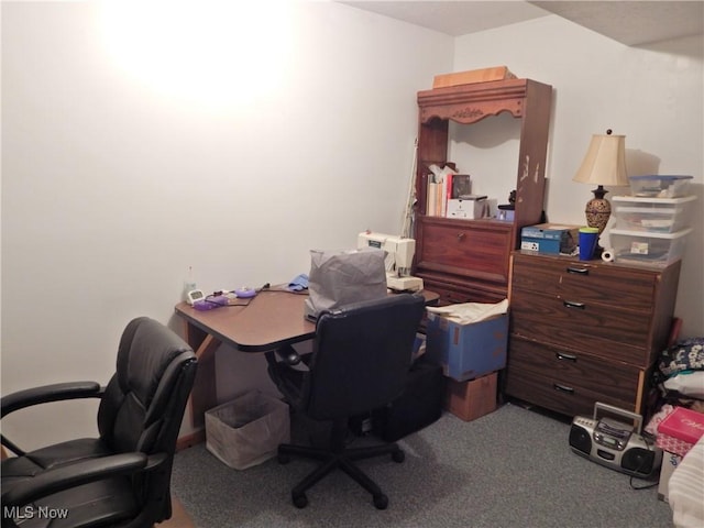 office area featuring carpet flooring