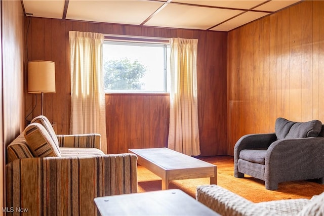 living area with wooden walls