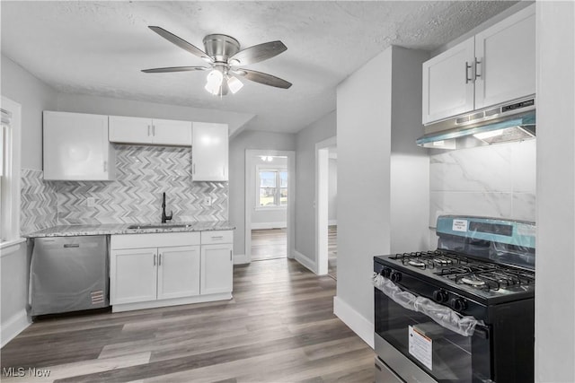 kitchen featuring appliances with stainless steel finishes, white cabinetry, a sink, and under cabinet range hood