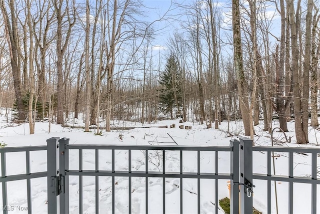 snowy yard featuring a gate