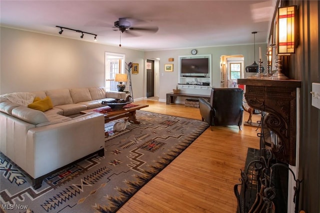 living room with light wood-type flooring, ceiling fan, crown molding, and a wealth of natural light