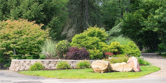 view of property's community featuring a forest view