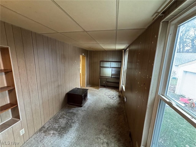 corridor with carpet floors, a paneled ceiling, and wood walls