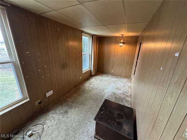 unfurnished room featuring a wealth of natural light, light carpet, and wooden walls