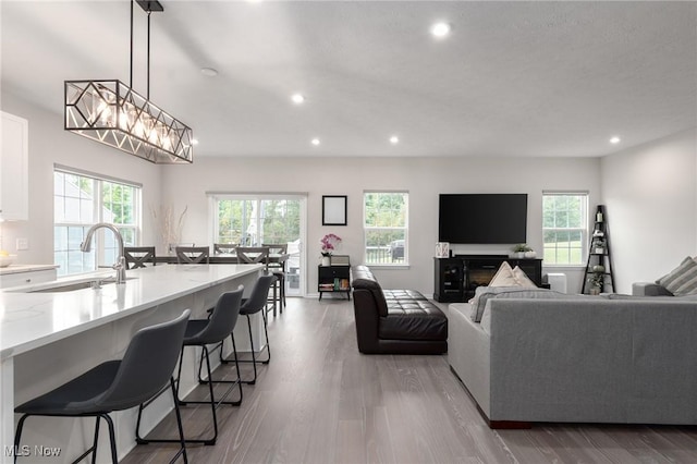 living room with recessed lighting, a healthy amount of sunlight, and wood finished floors