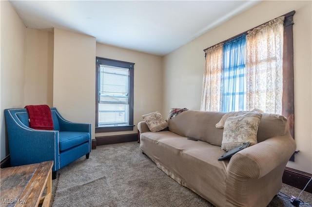 living area featuring carpet floors