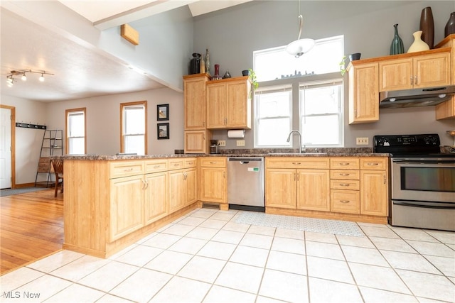 kitchen featuring a peninsula, under cabinet range hood, stainless steel appliances, and a sink