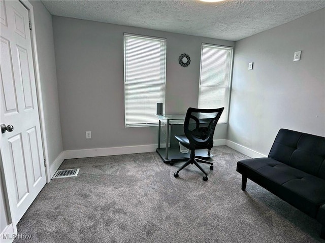 carpeted office space with visible vents, a textured ceiling, and baseboards