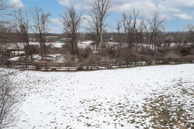 view of yard layered in snow