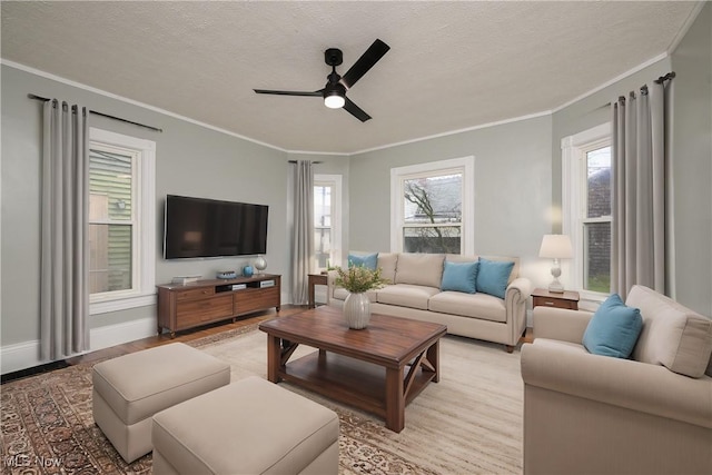 living area featuring light wood finished floors, baseboards, a ceiling fan, a textured ceiling, and crown molding