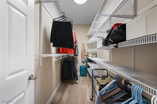 walk in closet with light colored carpet