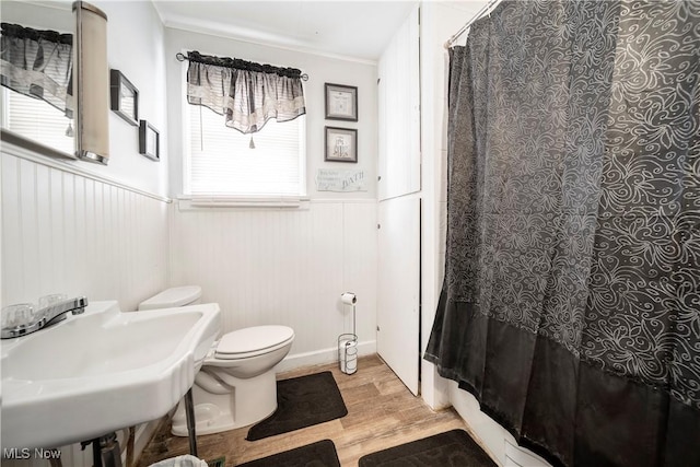 full bathroom featuring toilet, a wainscoted wall, a shower with curtain, wood finished floors, and a sink