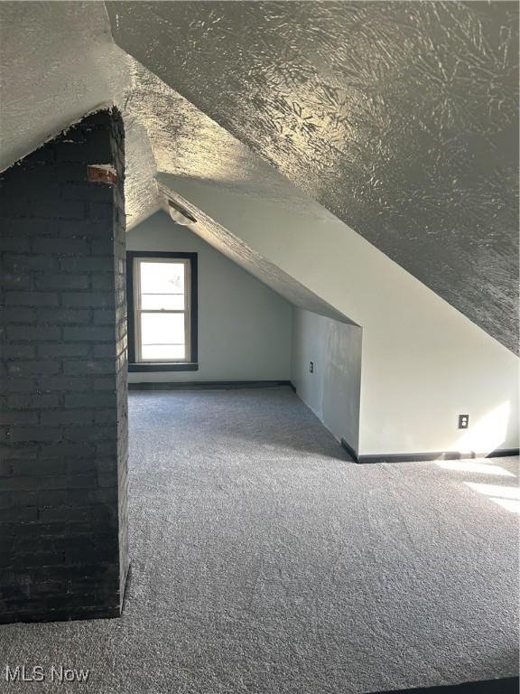 11617 Ely, Cleveland, OH 44120 - bonus room with lofted ceiling, a textured ceiling, and carpet flooring