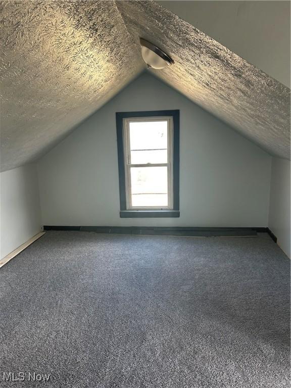11617 Ely, Cleveland, OH 44120 - bonus room with a textured ceiling, carpet floors, and lofted ceiling