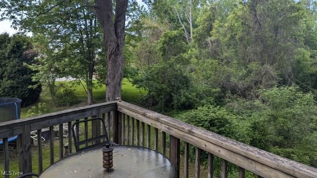 150 Parkhall Dr, Painesville, OH 44077 - photo 41