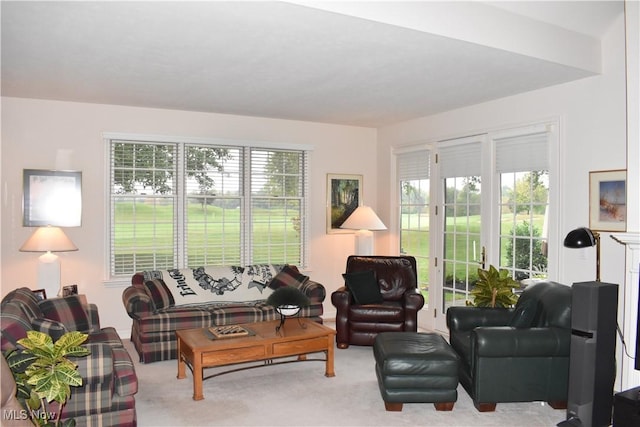 living room featuring carpet floors