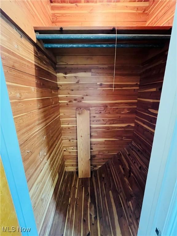 closet with a sauna