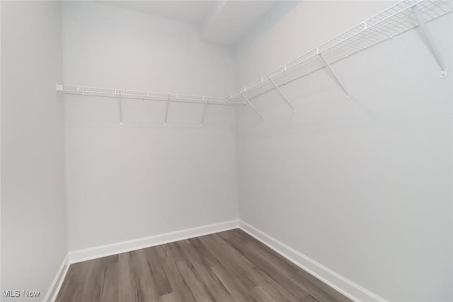 walk in closet with dark wood-type flooring