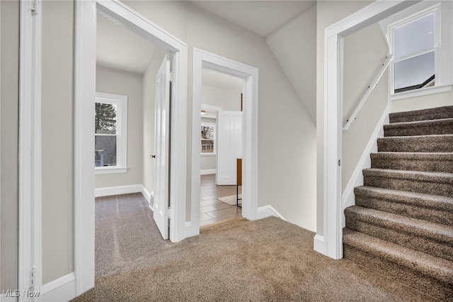 staircase featuring baseboards and carpet flooring