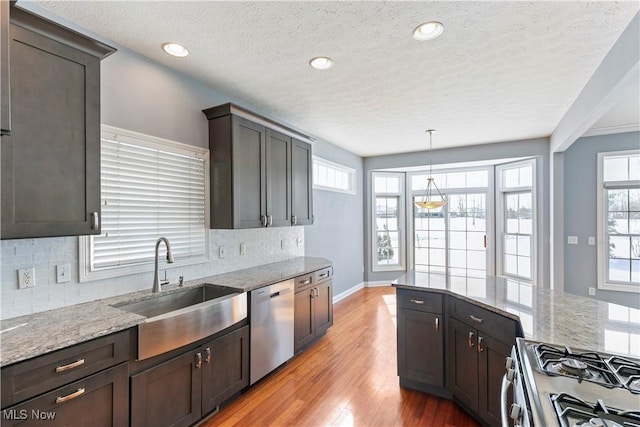 kitchen with dark brown cabinetry, a sink, appliances with stainless steel finishes, light wood-type flooring, and decorative backsplash