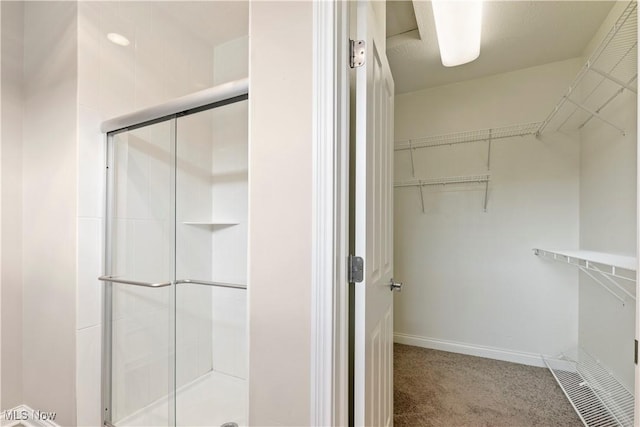 spacious closet with carpet