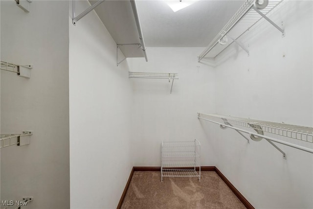 walk in closet featuring carpet