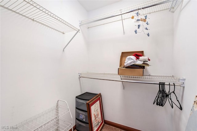 view of walk in closet