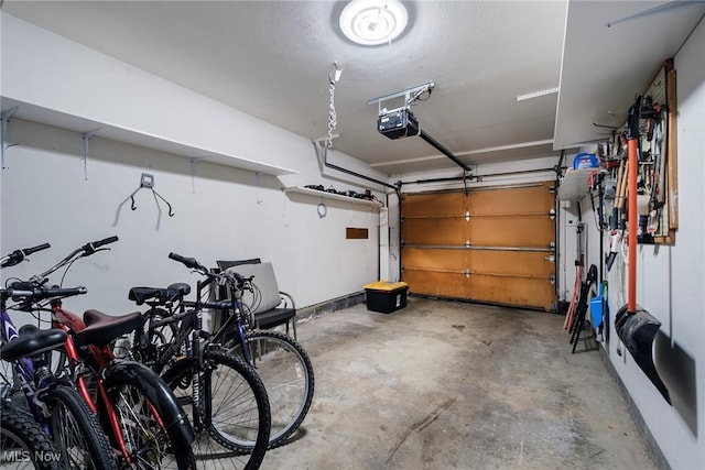 225 N Bayshore Dr Unit 3, Columbiana, OH 44408 - garage featuring a garage door opener