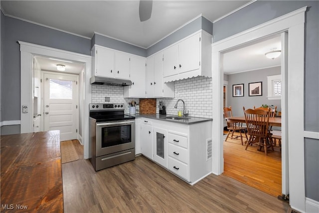 kitchen with dark wood-style floors, ornamental molding, a sink, stainless steel range with electric stovetop, and under cabinet range hood