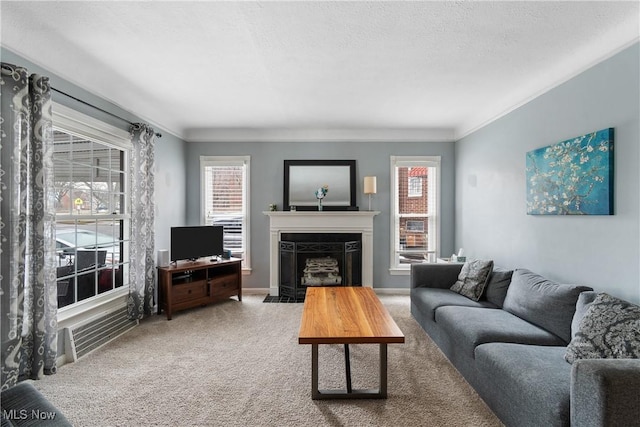 carpeted living room featuring a textured ceiling, crown molding, a fireplace with flush hearth, and baseboards