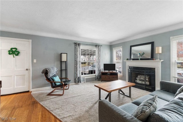 living area with a fireplace with flush hearth, a wealth of natural light, a textured ceiling, and wood finished floors