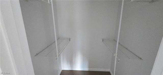 view of walk in closet