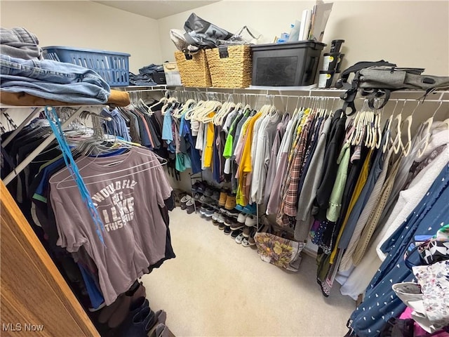 walk in closet featuring carpet flooring