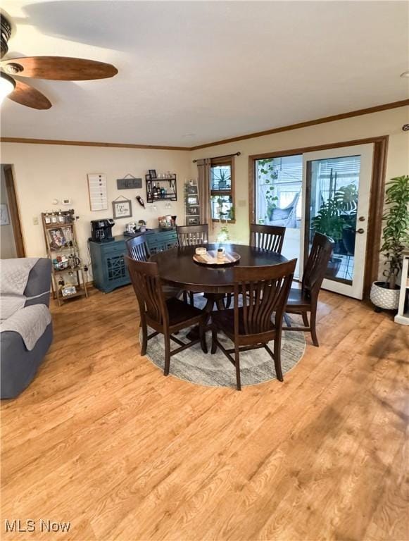 dining area featuring ornamental molding, light wood finished floors, and ceiling fan