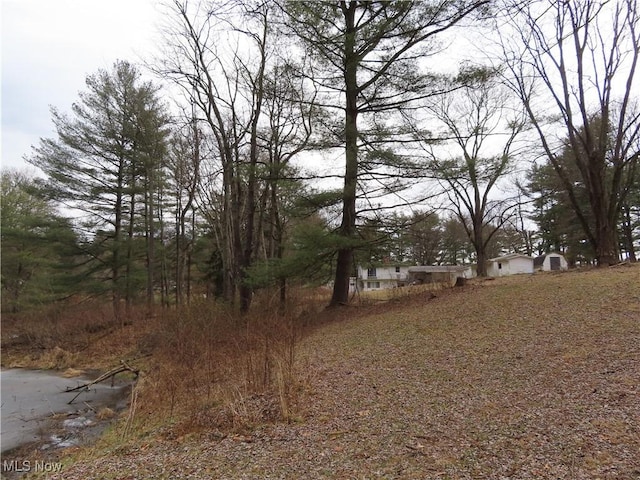 view of local wilderness