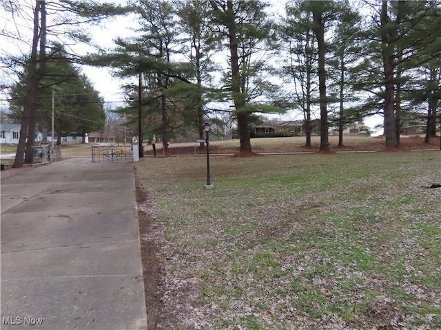 view of road featuring concrete driveway