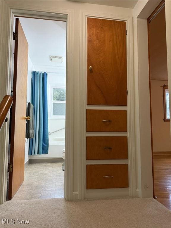 hallway with carpet floors, a wealth of natural light, and visible vents