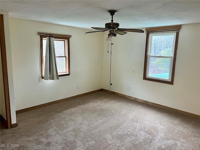 empty room with carpet, a textured ceiling, baseboards, and a wealth of natural light