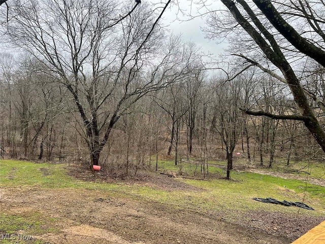 view of yard with a forest view