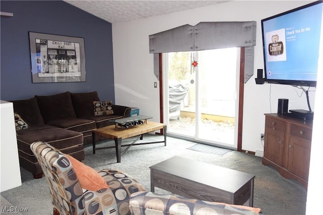 carpeted living area featuring a textured ceiling