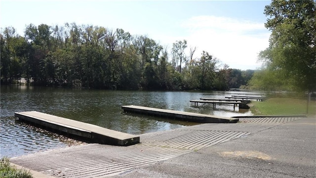 dock area featuring a water view