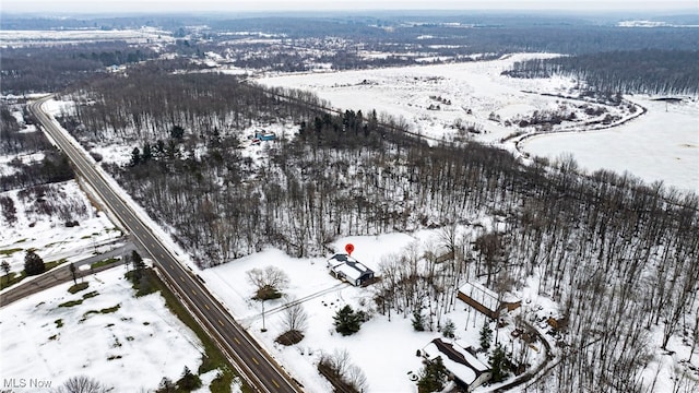 view of snowy aerial view