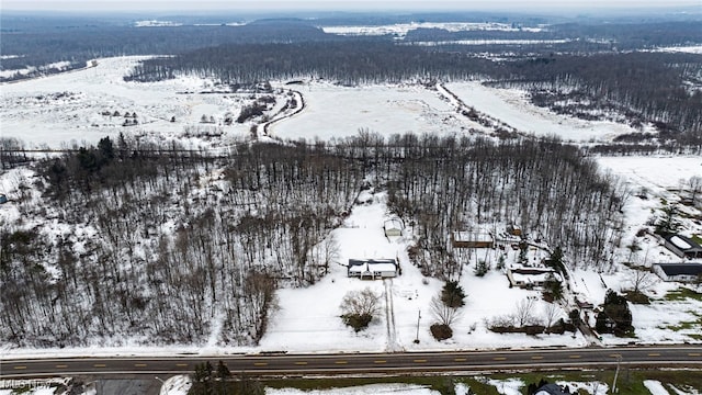 view of snowy aerial view