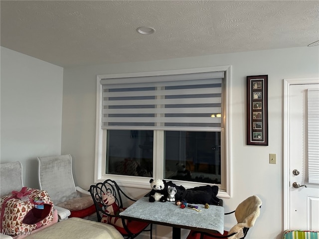 dining area with a textured ceiling