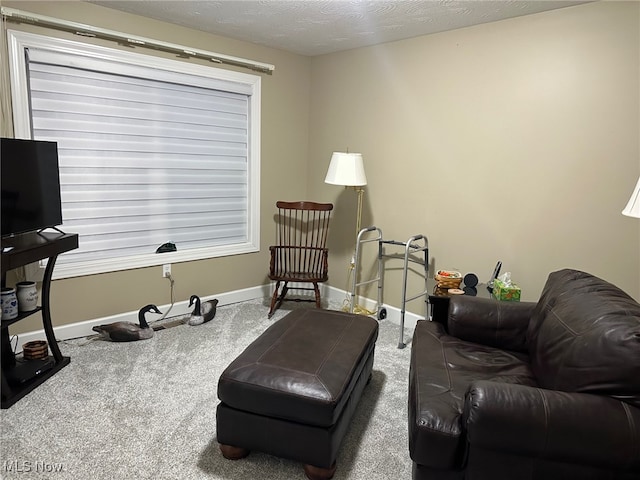 carpeted living area with a textured ceiling and baseboards